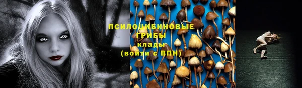 прущая мука Елабуга