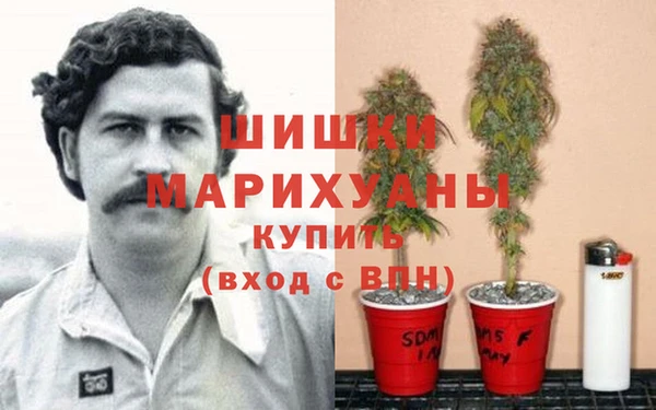 каннабис Ельня