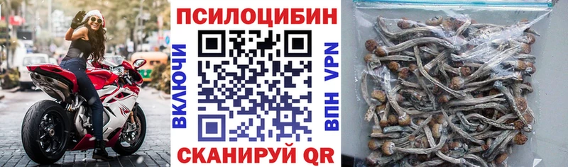 Галлюциногенные грибы Psilocybine cubensis  купить наркоту  Жердевка 